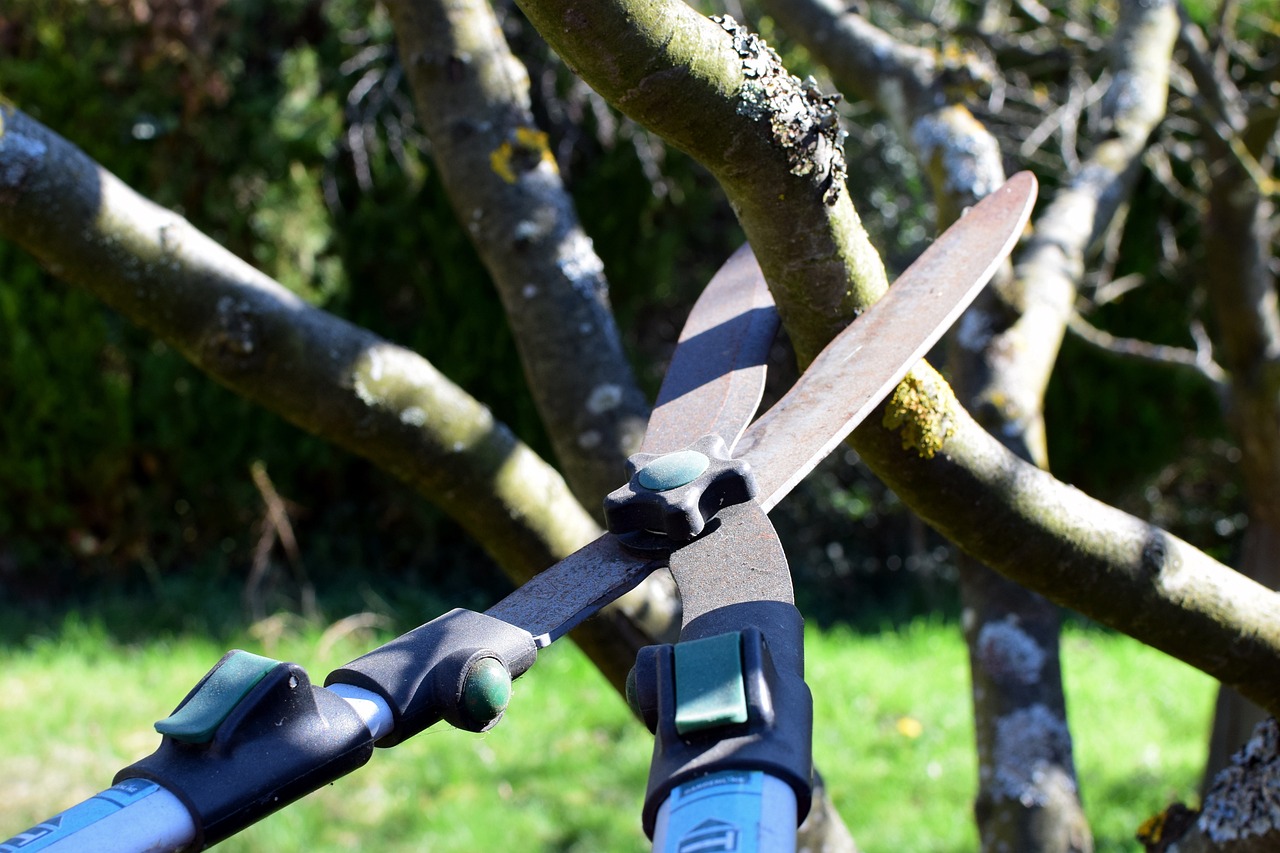 Pruning 101: When and How to Prune